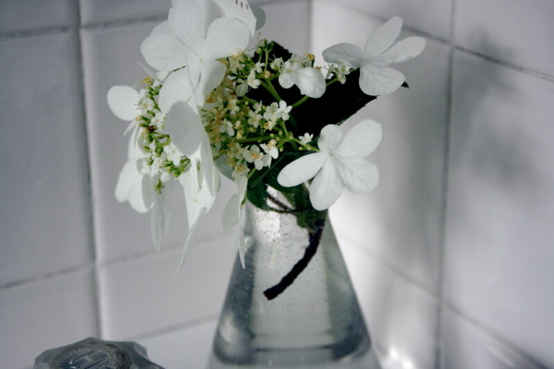 whiteblooms