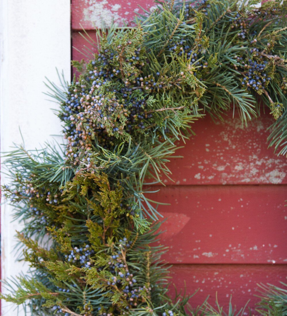cedar wreath | reading my tea leaves