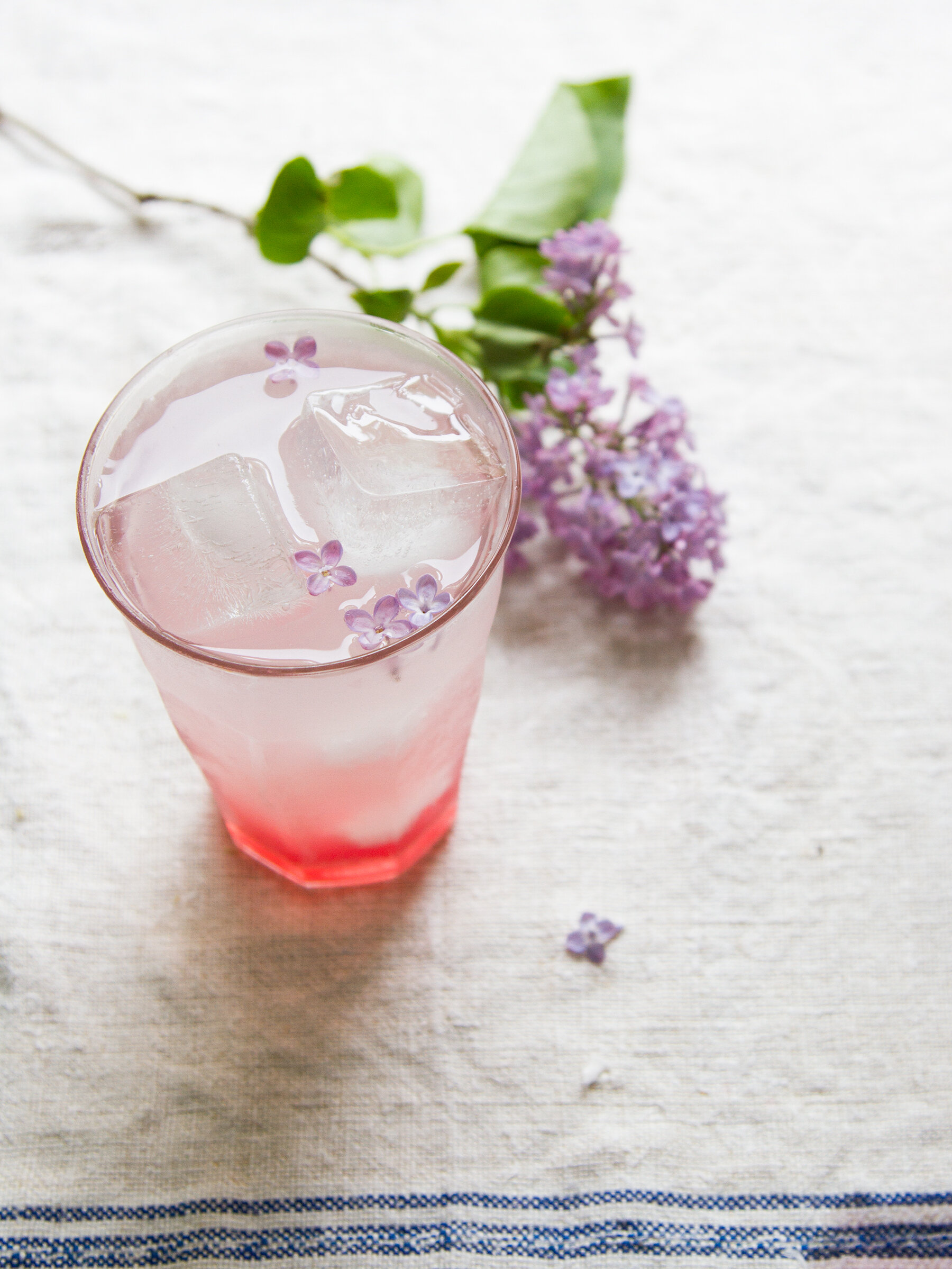 rhubarb and lilac spritzer | reading my tea leaves