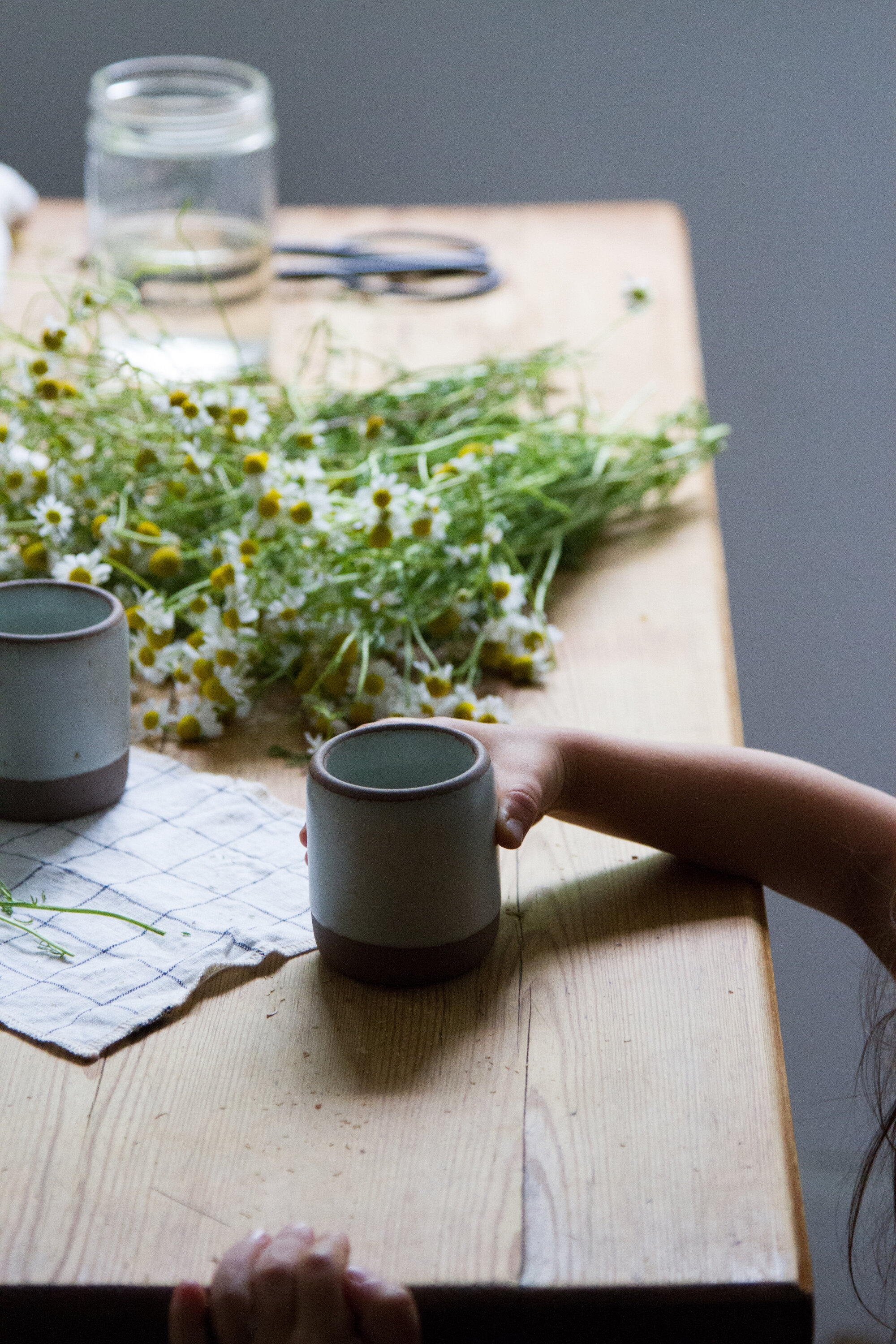make your own chamomile tea | reading my tea leaves