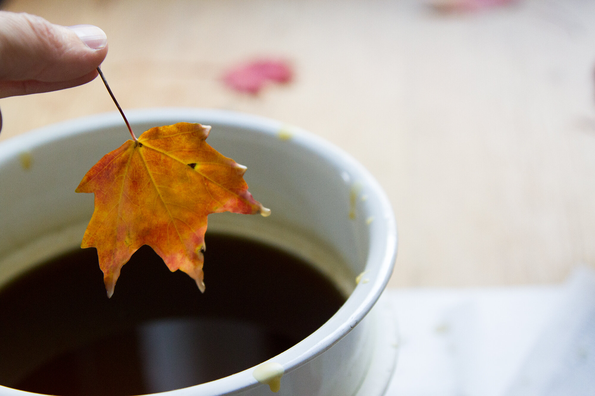 beeswax dipped leaves | reading my tea leaves