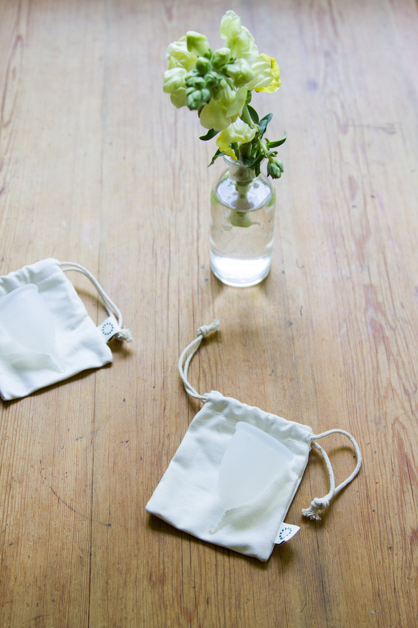 OrganiCup reusable menstrual cup | reading my tea leaves