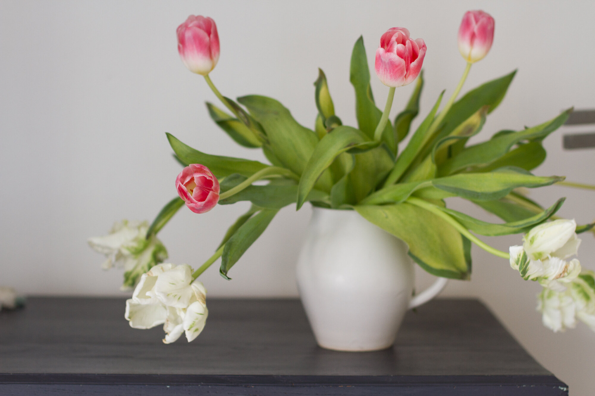 tulips in a white pitcher