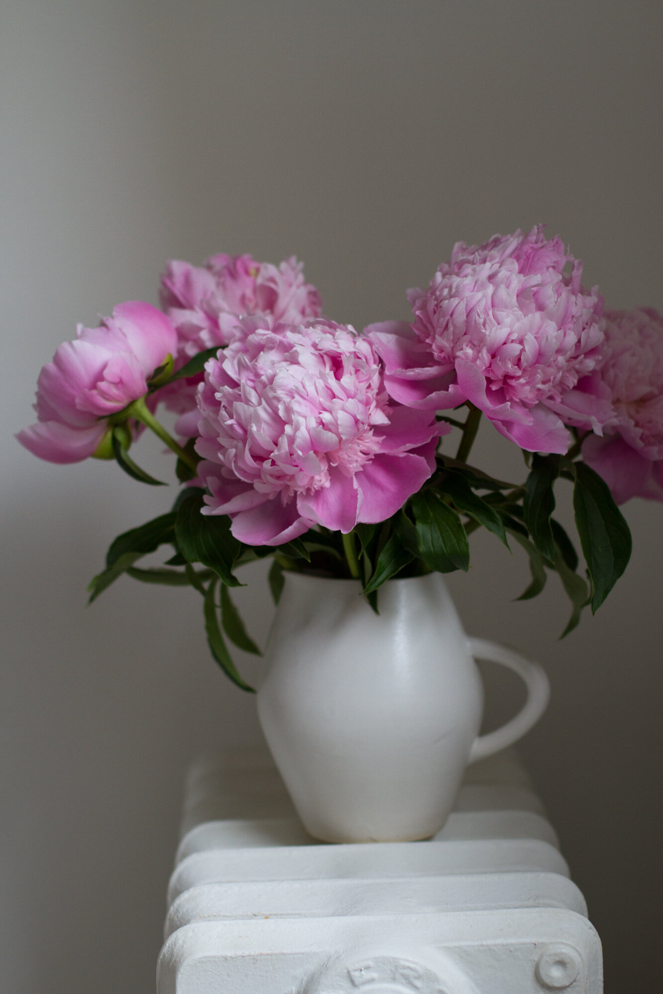 peonies in a white pitcher