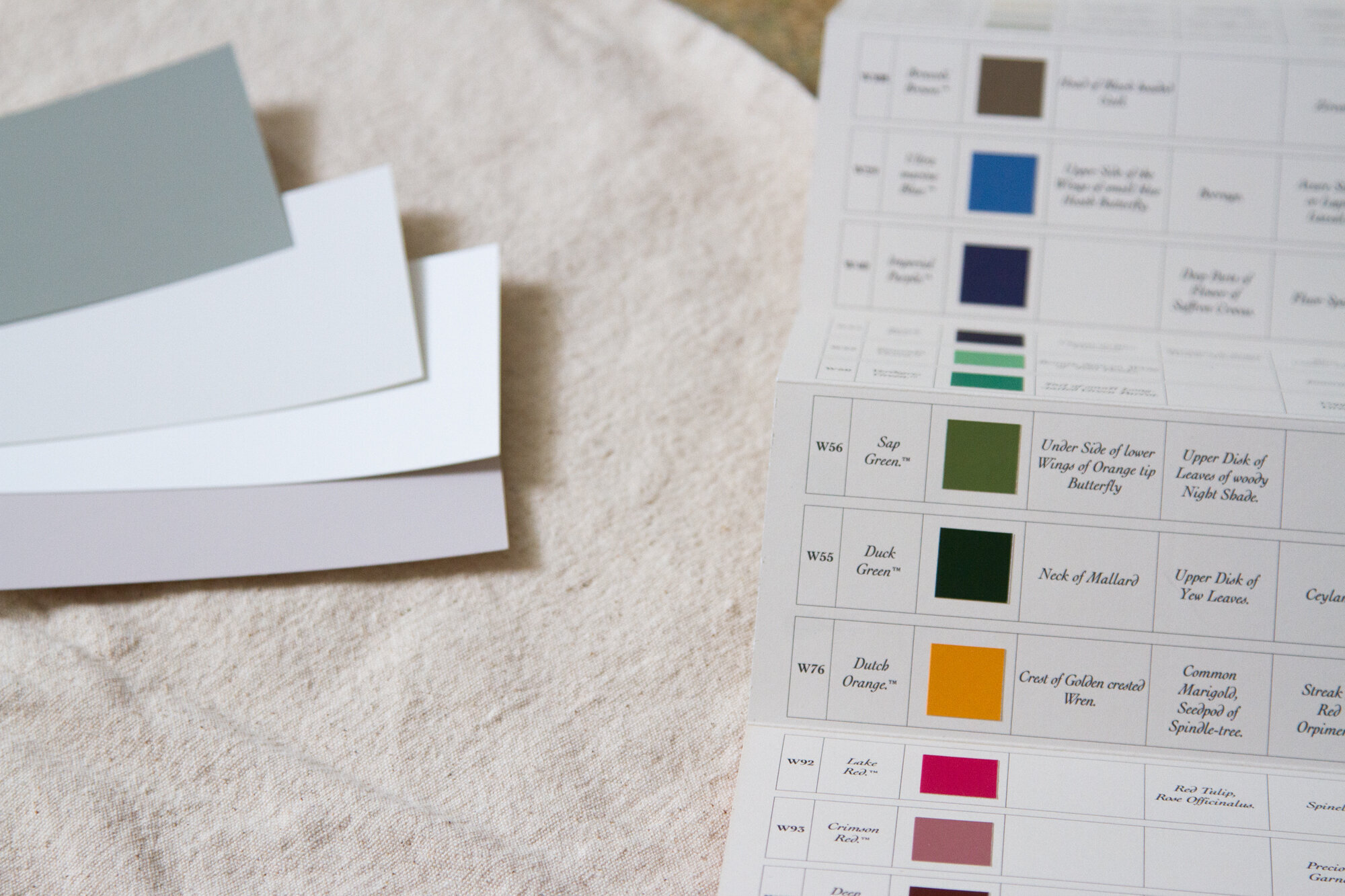 colour consultancy with farrow & ball | reading my tea leaves