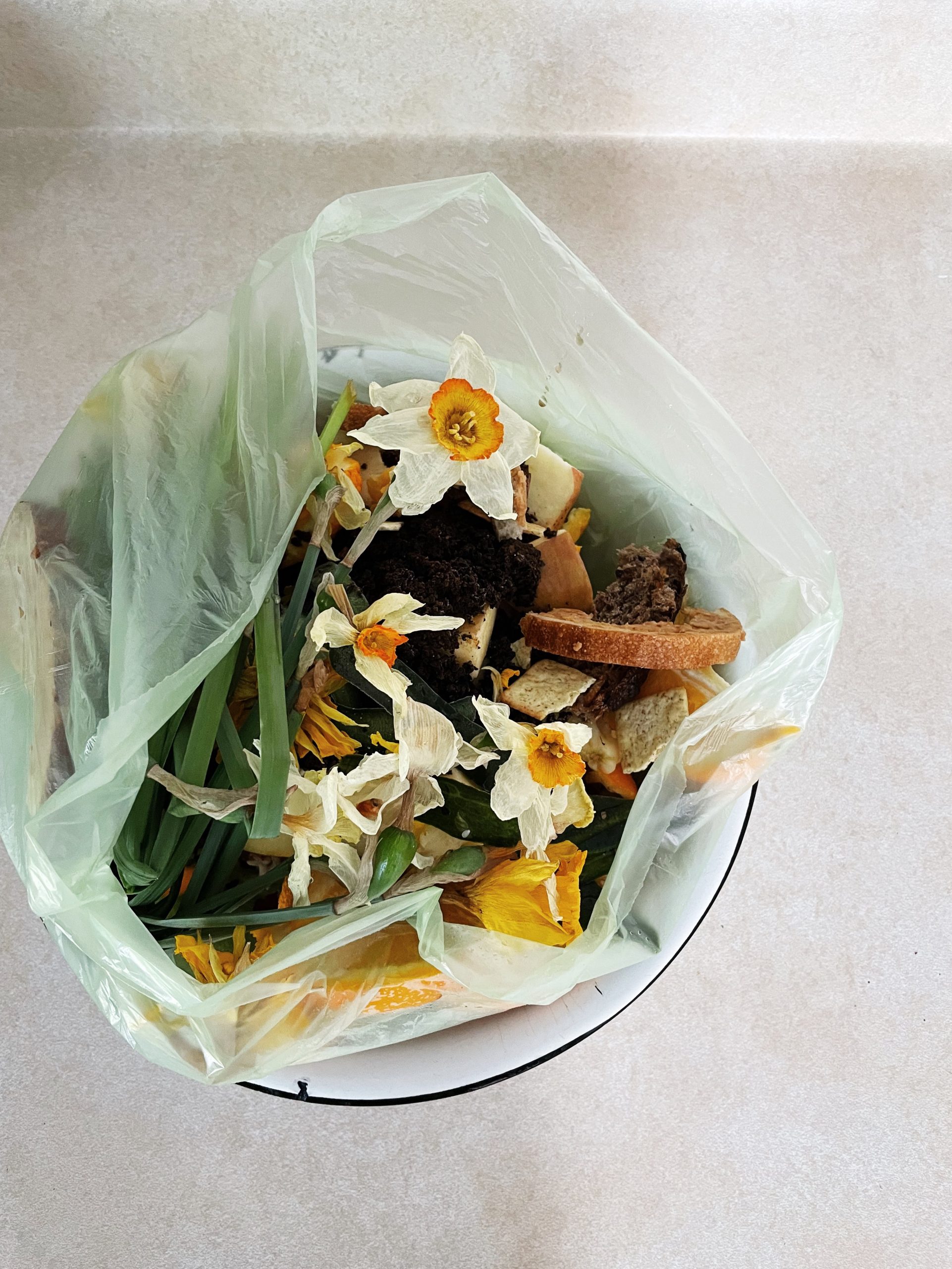 Consider paper bags or reusable containers for leaf season this year - The  City of Asheville