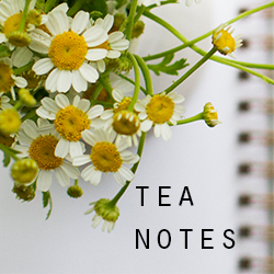 growing a minimalist wardrobe: intimates (again). – Reading My Tea Leaves –  Slow, simple, sustainable living.
