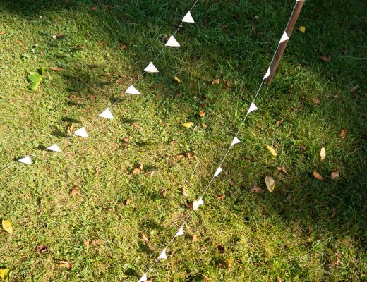 bunting on grass
